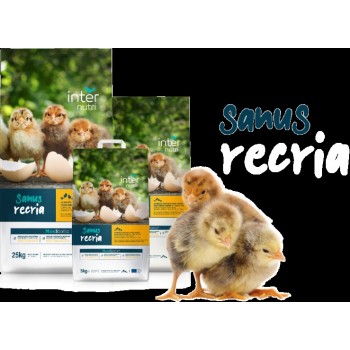 Dist. de Alimentos p/ t/ tipo de Animais | Sanus Aves, Recria | Saco de 5 / 10 / 25 kg  (SANUS  A 105) Pitos em Crescimento desde ó 1º ao 21º Dia.